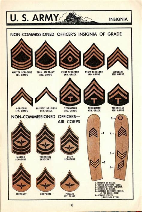 Non Commissioned Officers Rank Insignia Chevrons Us Army Between