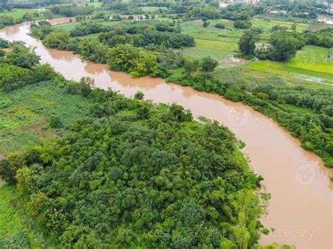 Aerial View River Flood Forest Nature Woodland Area Green Tree Top