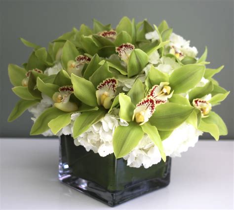 Green Orchids in a vase | Orchid arrangements, Green orchid, Orchid centerpieces