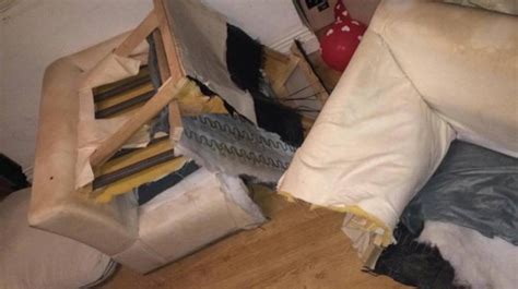 ‘prankster Cons Mum On Facebook Into Sawing Her Sofa Into Three Bits Metro News
