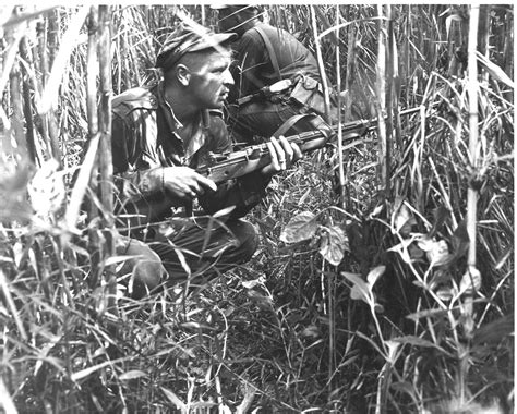 Vietnam War Commemorative Tribute Rifle The American