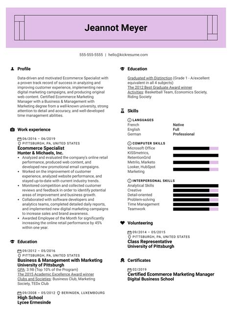Ecommerce Marketing Resume Example And Guide For 2020 Gambaran
