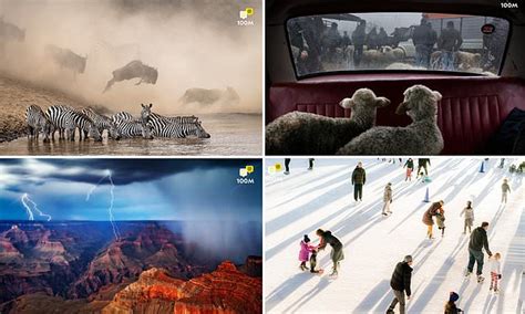 Awesome Photos National Geographic Instagram Photography Contest 100