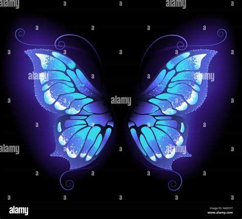 Glowing Purple Butterfly Wings On A Black Background Stock Vector