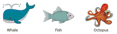 Course: Environmental Science - Class 1, Topic: Animal Around Us