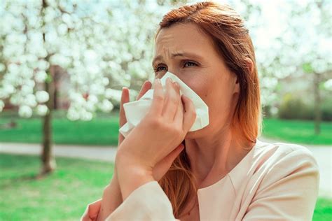 F the nervous and reproductive systems work together to stimulate the. Homeopathy For Hayfever Allergies | Nutrition & Homeopathy ...