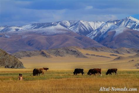 Gallery Altai Nomads Travel