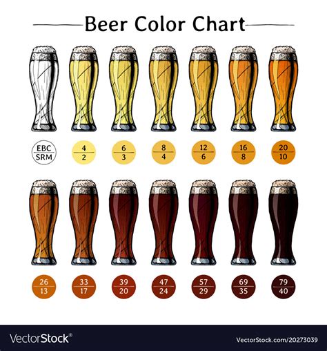 Beer Color Chart Royalty Free Vector Image Vectorstock