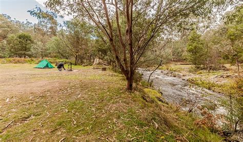 Other ways councils can deal with councils must look into complaints about noise that could be a 'statutory nuisance' (covered by the. Pinch River campground | NSW National Parks