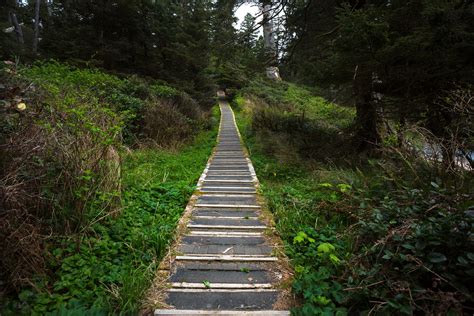 Forest Walkway Uphill Horizontal By Leeorr Stock On Deviantart