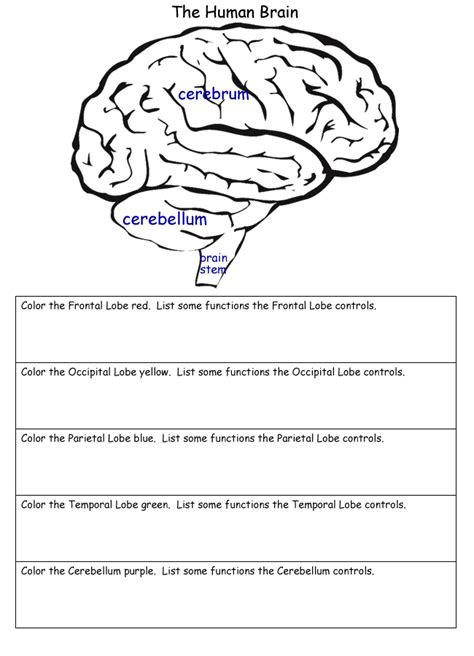 Science Worksheets | Online s, Worksheets and Brain