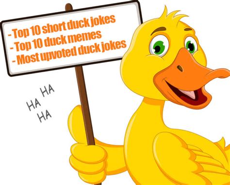 Top 50 Most Upvoted Duck Jokes With Funny Duck Memes