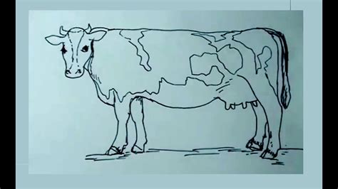 Este ejemplo nos enseña a dibujar una vaca facil y paso a paso. Dibujos de animales 8/8 - Cómo dibujar una vaca - cow ...