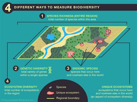 💌 Biodiversity Hotspots Examples How To Travel Sustainably In Indias