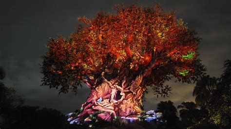Tree Of Life Awakenings In Disneys Animal Kingdom Disney Lifestyle