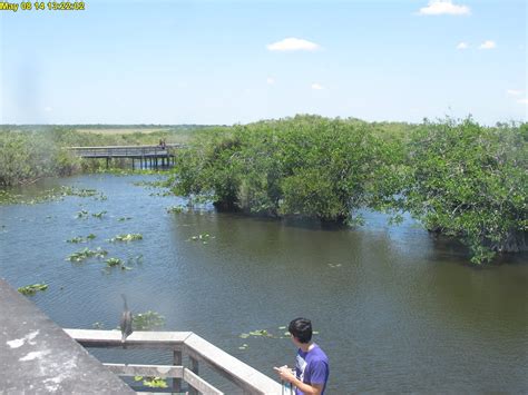Everglades National Park Royal Palm Visitor Center Image From National