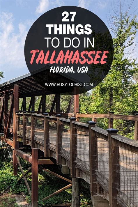 27 Fun Things To Do In Tallahassee Florida Florida Travel Guide