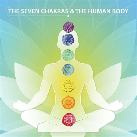 The Seven Chakras And The Human Body Yoga Naturals