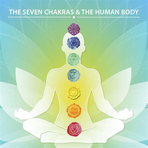 THE SEVEN CHAKRAS THE HUMAN BODY Yoga Naturals