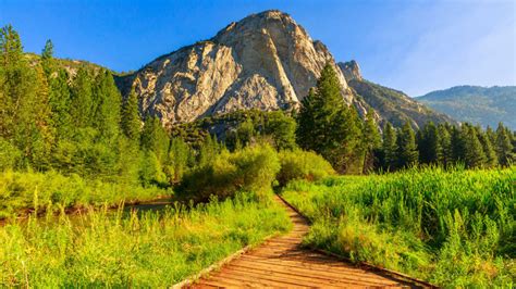 Sequoia And Kings Canyon National Park Travel Guide Everything You Need