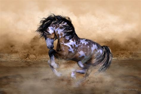 The Wildthe Free Painted Horse By Shanina Conway