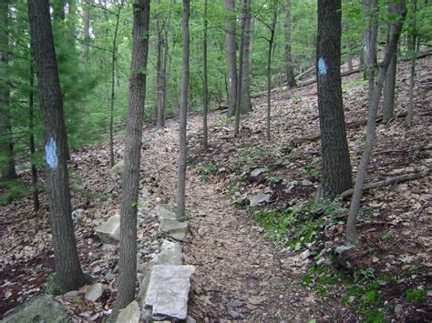 Pine grove furnace state park & michaux state forest. 50 Photos: Take virtual tour of Pine Grove Furnace State Park