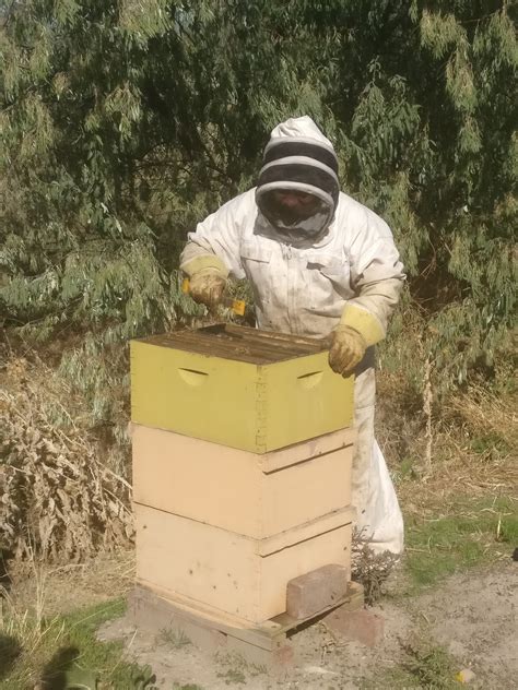 Enter a zip to get pest control estimates from top rated local exterminators! Anyone that removes honey bees for free/on the cheap from ...