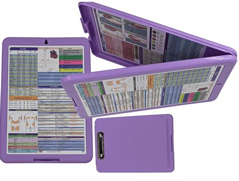 Nursing Clipboard With Storage Providing Quick Access To Clinical