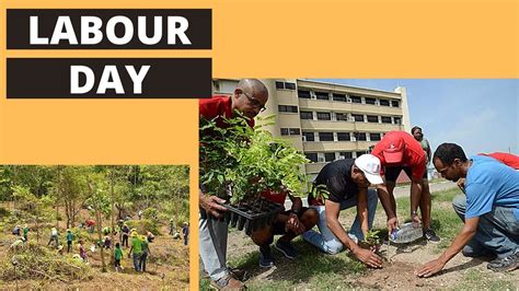 Labour Day In Jamaicahow Labour Day Is Doneworking On Labour Day Chat