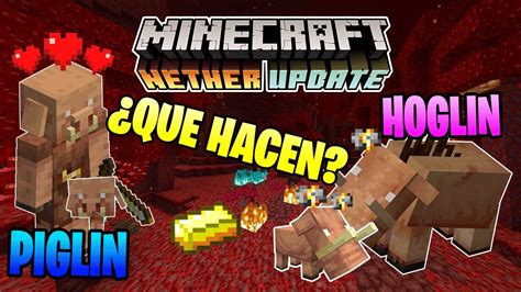 Todo Sobre Los Piglins Y Hoglins 🔥 Minecraft 116 Nether Update