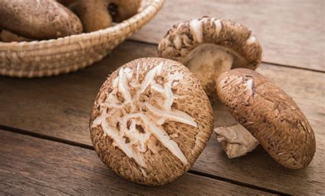 Wie gesund sind Shiitake Pilze
