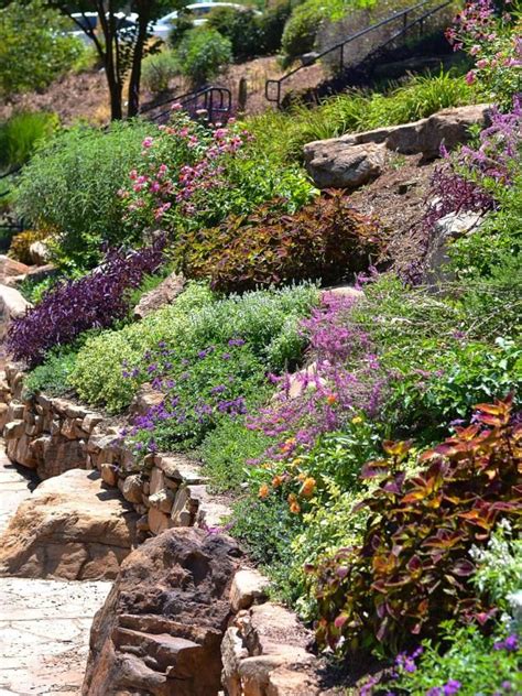 Search Viewer Hgtv Landscaping A Slope Hillside Landscaping