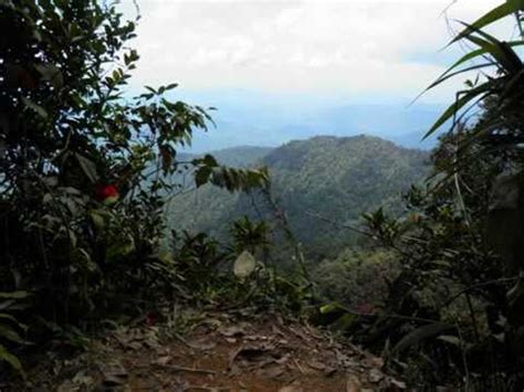 Gunung nuang is kuala's lumpur's closest major mountain. Gunung Nuang, Hulu Langat, Selangor, Malaysia - YouTube