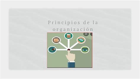 Principios De La Organización