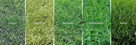 Uncover why southern lawn & pest is the best company for you. Grass is Greener - Florida Environmental Pest Management's ...