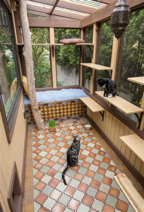 Catios Keep Cats And Birds Safe Real Outside Cat Enclosure Diy