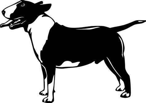 Bull Terrier Vector At Getdrawings Free Download