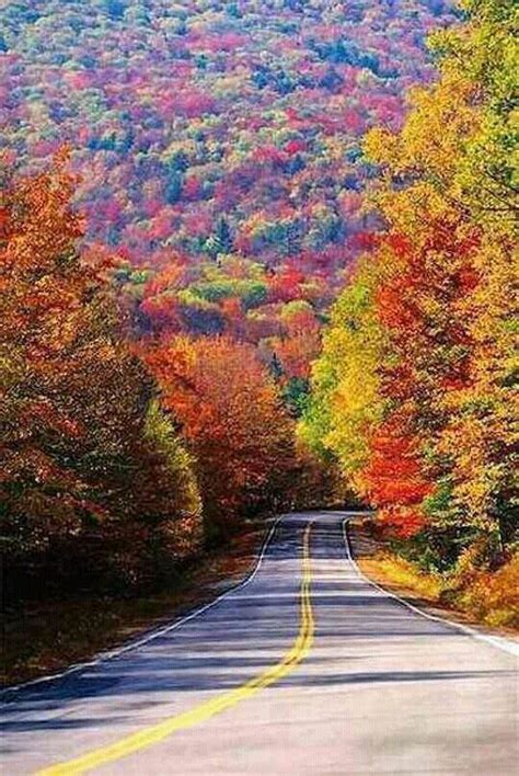 Fotografia Autumn Scenery Fall Foliage Towns In West Virginia