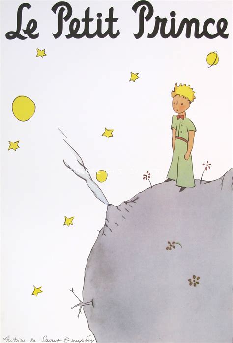 Picture This G1366 Le Petit Prince