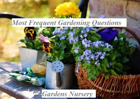 Most Frequent Gardening Questions Gardens Nursery