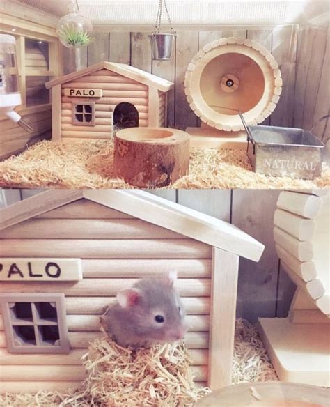 Cute Set Up I Saw Someone Do Would Love To Try It 💕 Hamster Cages
