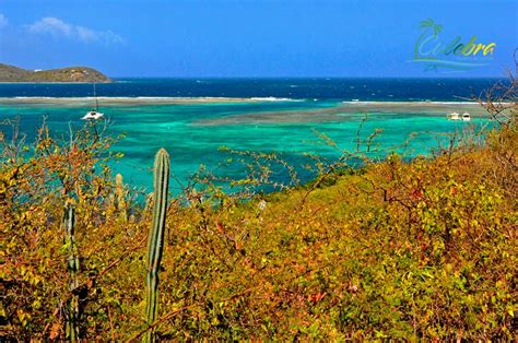 Culebra Best Things To Do And Places To Visit Puerto Rico 2024 Guide