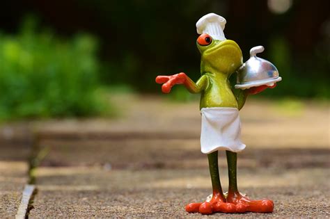 Frog Cook Meal Free Photo On Pixabay Pixabay