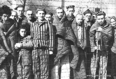 ‹ › luggage taken from prisoners at auschwitz. Historical pictures and documents / Gallery / Auschwitz ...