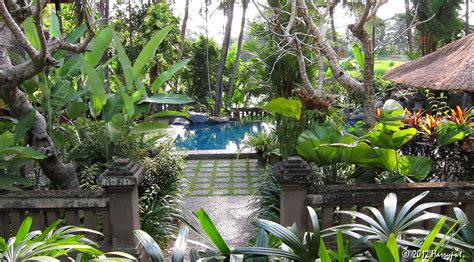 Bali Garden Ideas Photos