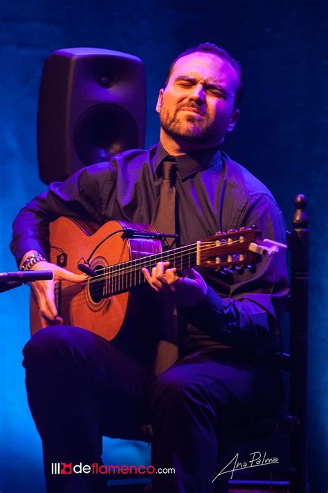 Reino de silia (bulería por soleá), del maestro vicente amigo. Santiago Lara - Metheny Flamenco Tribute - Fotografías ...