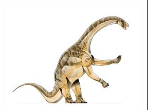 Vulcanodon Jurassic Park Wiki Fandom Prehistoric Dinosaurs