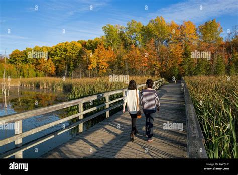 Canada Quebec Province Montreal Bizard Island The Nature Park Bois