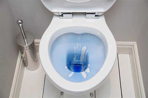 Automatic Toilet Cleaner New Toilet Designs A Combination Of