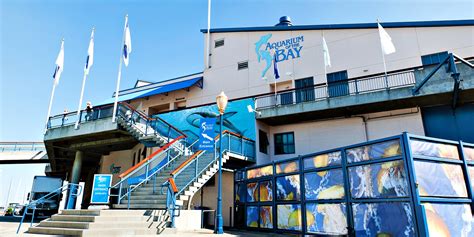 1950 Aquarium Of The Bay Visit Any Day Of 2018 Reg 27 Travelzoo